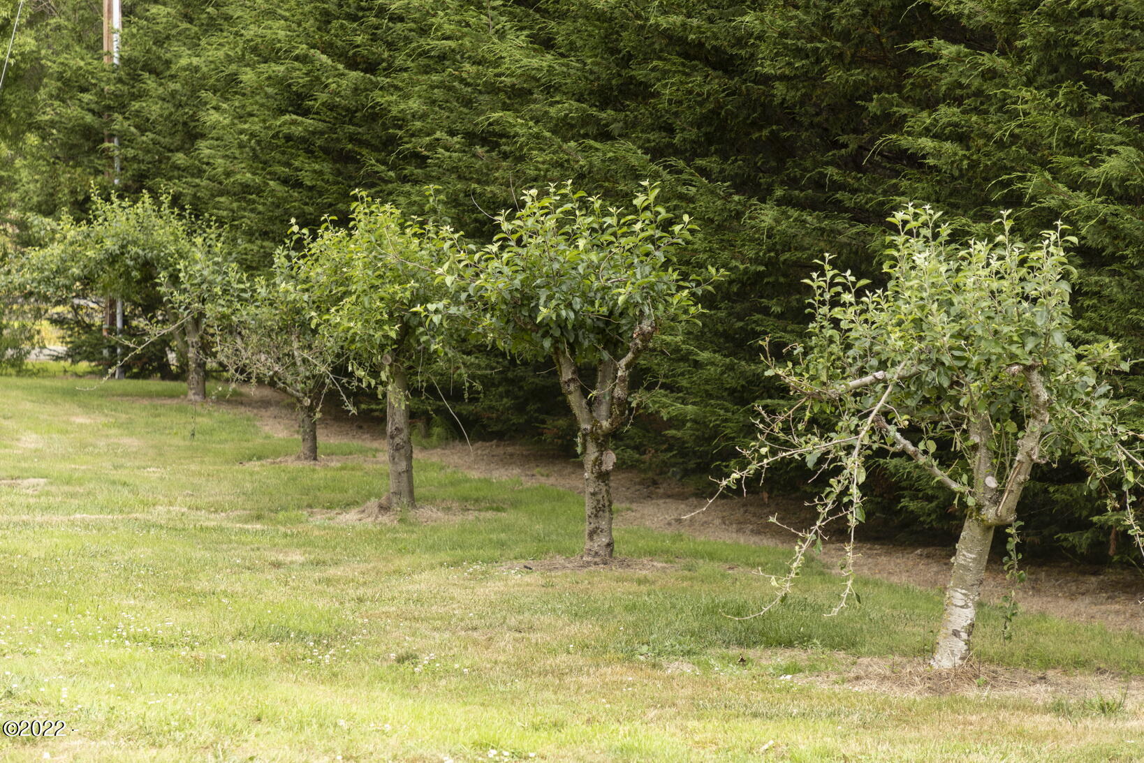 3071 Hidden Valley Road Newport, OR 97365 - Photo 48 of 55 0018