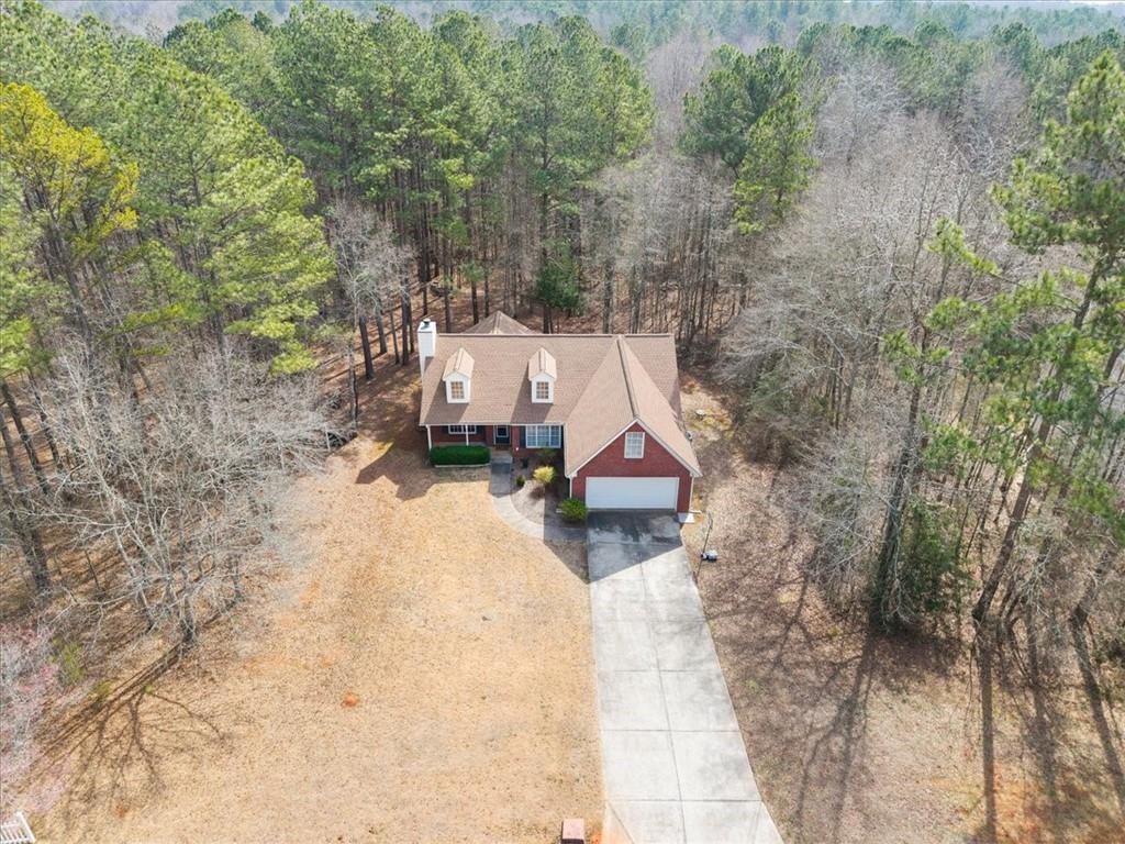 1022 Miss Amber Way Locust Grove, GA 30248 - Photo 39 of 43 a view of a backyard with a trees