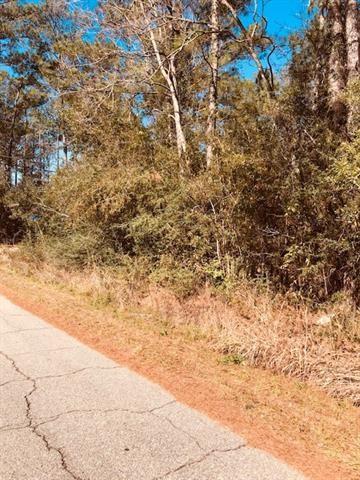 29227 Paquet Road Lacombe, LA 70445 - Photo 2 of 7