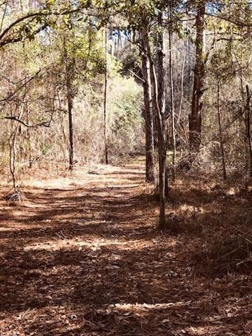 29227 Paquet Road Lacombe, LA 70445 - Photo 5 of 7