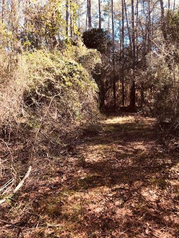 29227 Paquet Road Lacombe, LA 70445 - Photo 6 of 7