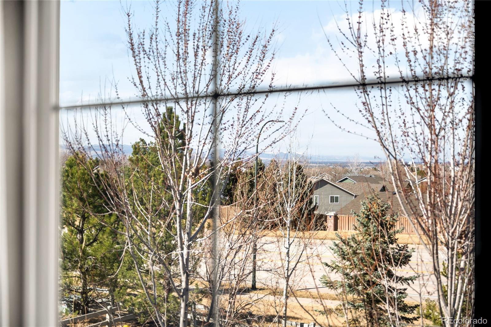 683 Tiger Lily Way Highlands Ranch, CO 80126 - Photo 24 of 50 a close up of a potted plant on a wall