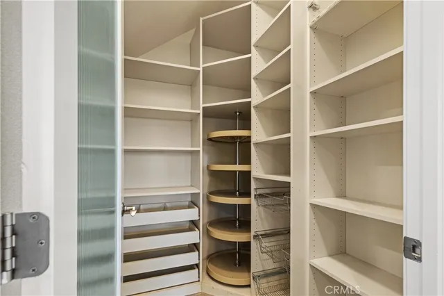 a room with walk in closet with empty racks