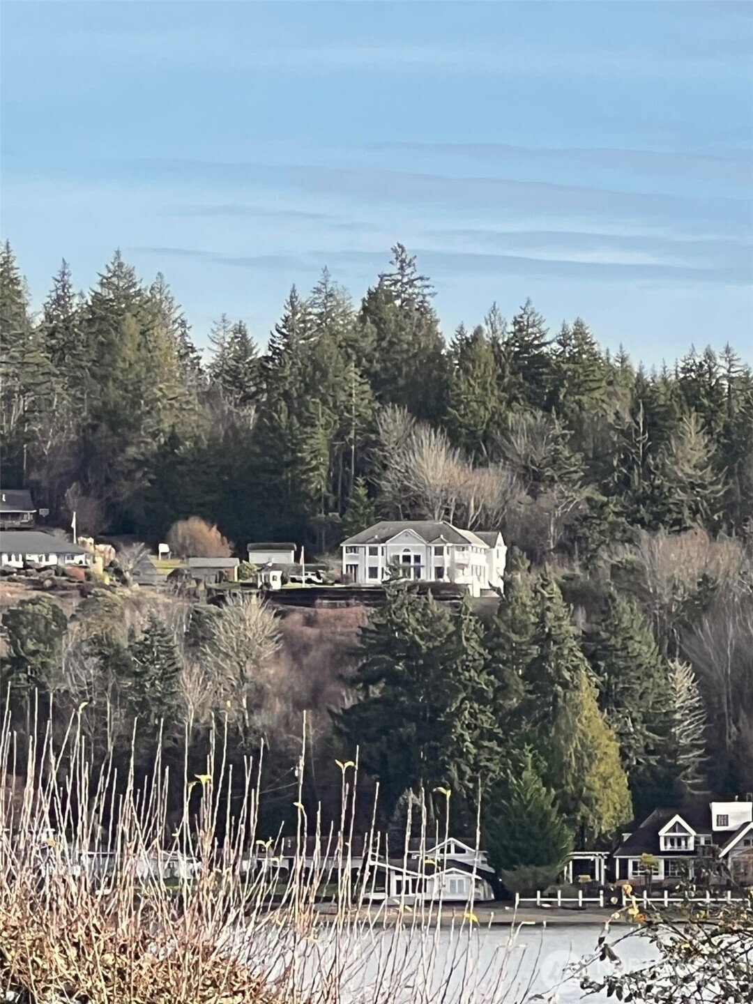 457 East Victor Road Belfair, WA 98528 - Photo 40 of 40 a view of a yard and mountain