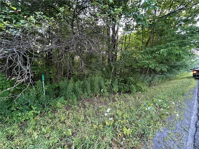 $60,000 | Rt-13, Williamstown, NY 13302
