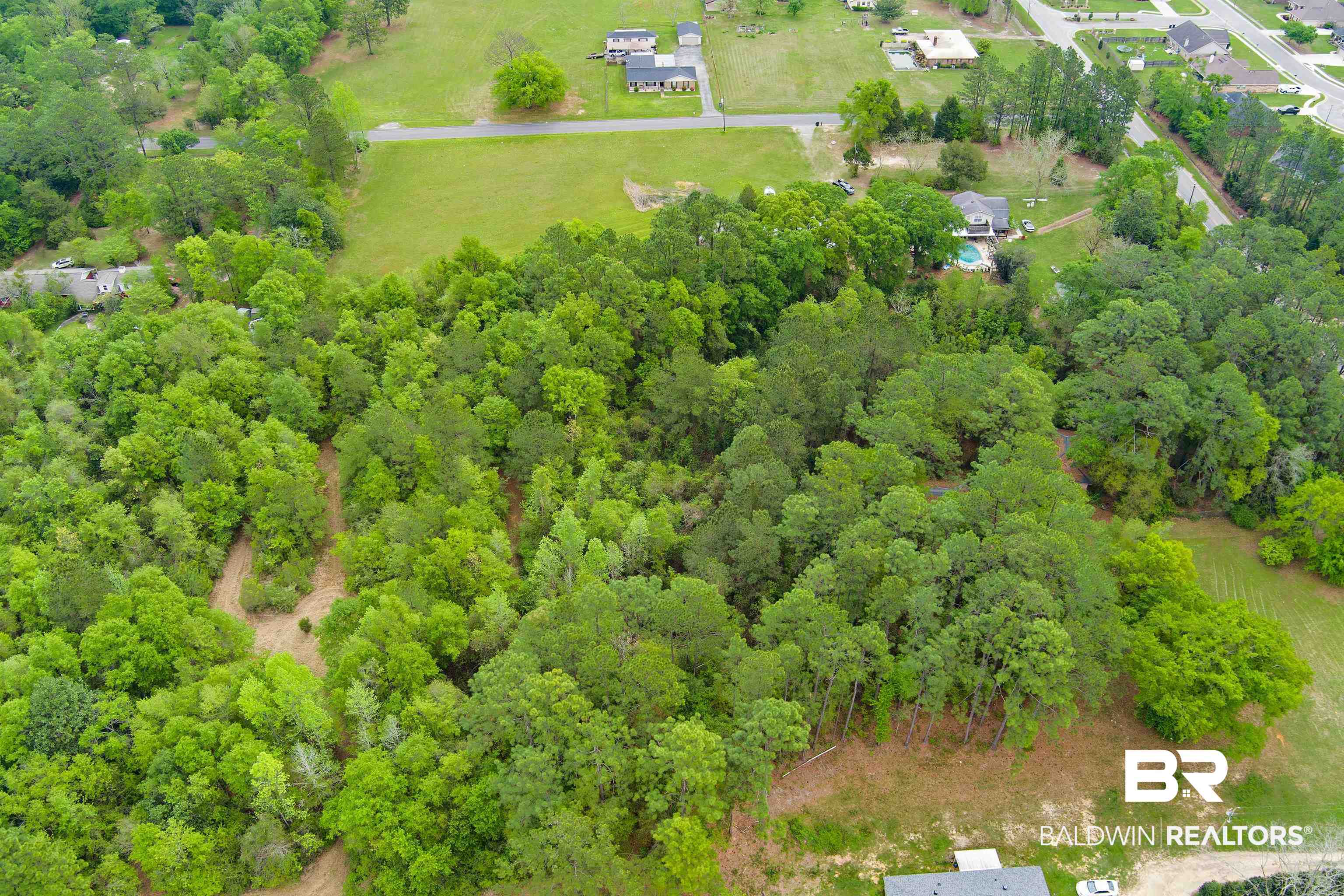 0 Wards Lane Semmes, AL 36575 - Photo 5 of 12