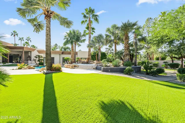 a view of a swimming pool with plants and palm trees