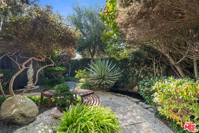 a view of a garden with plants