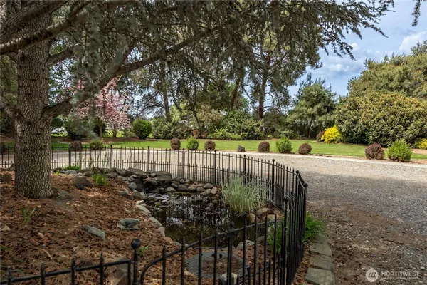 a view of a yard with a trees
