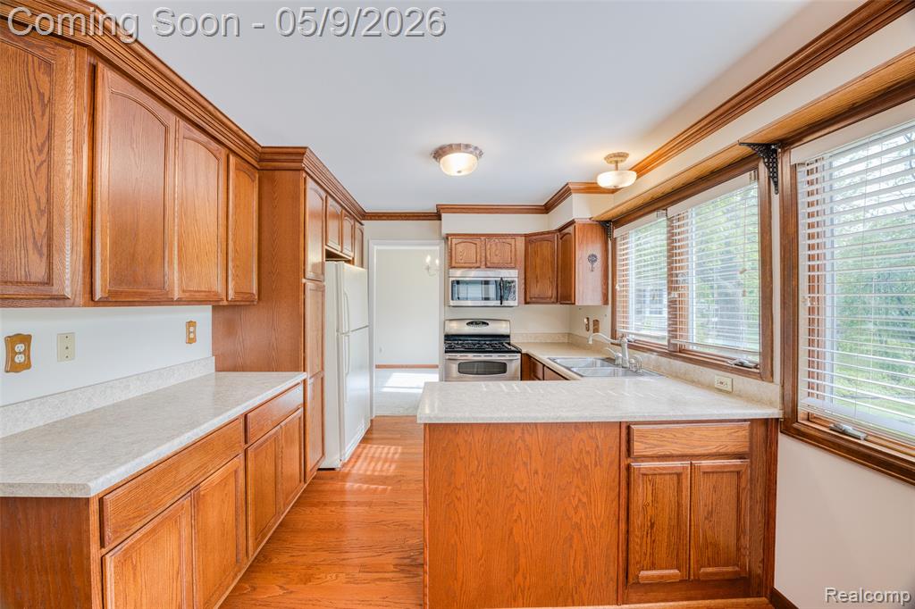 22718 Chestnut Tree Novi, MI 48375 - Photo 15 of 49 Gallery Image 15