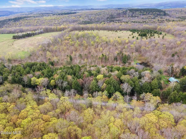 $40,000 | L20 Hakes Calhoun Road, Pitcher, NY 13136