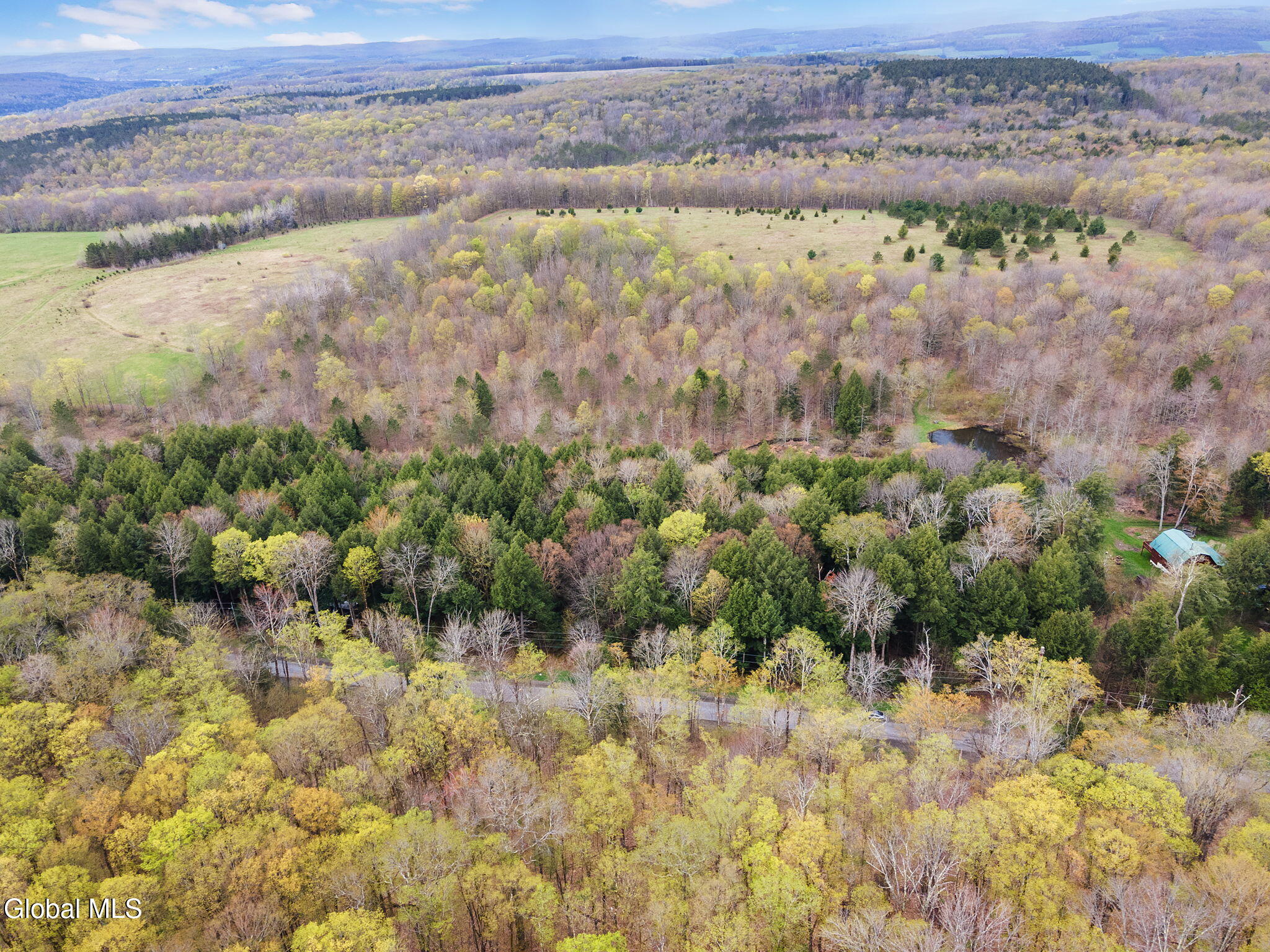 L20 Hakes Calhoun Road Pitcher, NY 13136 - Photo 13 of 20 13-KostenkoSuttonRd_13