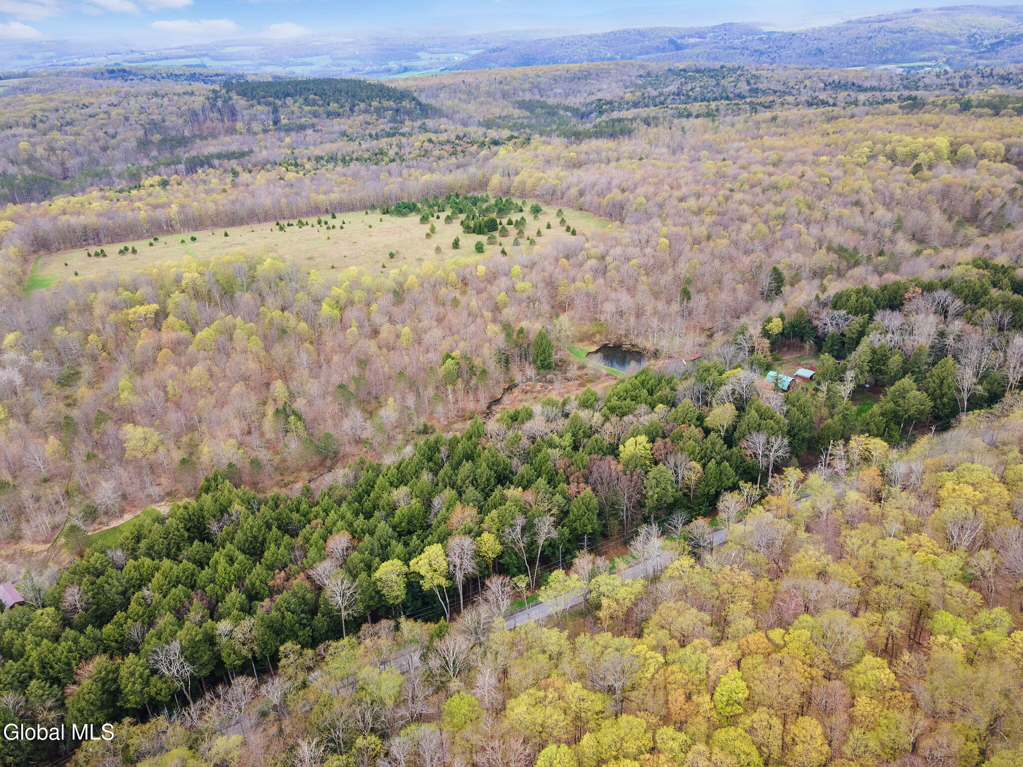 L20 Hakes Calhoun Road Pitcher, NY 13136 - Photo 14 of 20 14-KostenkoSuttonRd_14