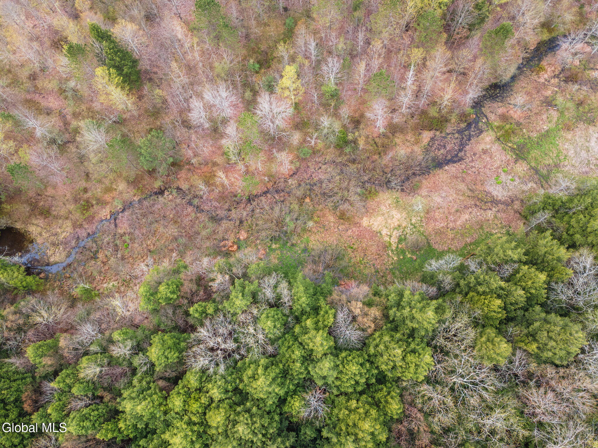 L20 Hakes Calhoun Road Pitcher, NY 13136 - Photo 15 of 20 15-KostenkoSuttonRd_15