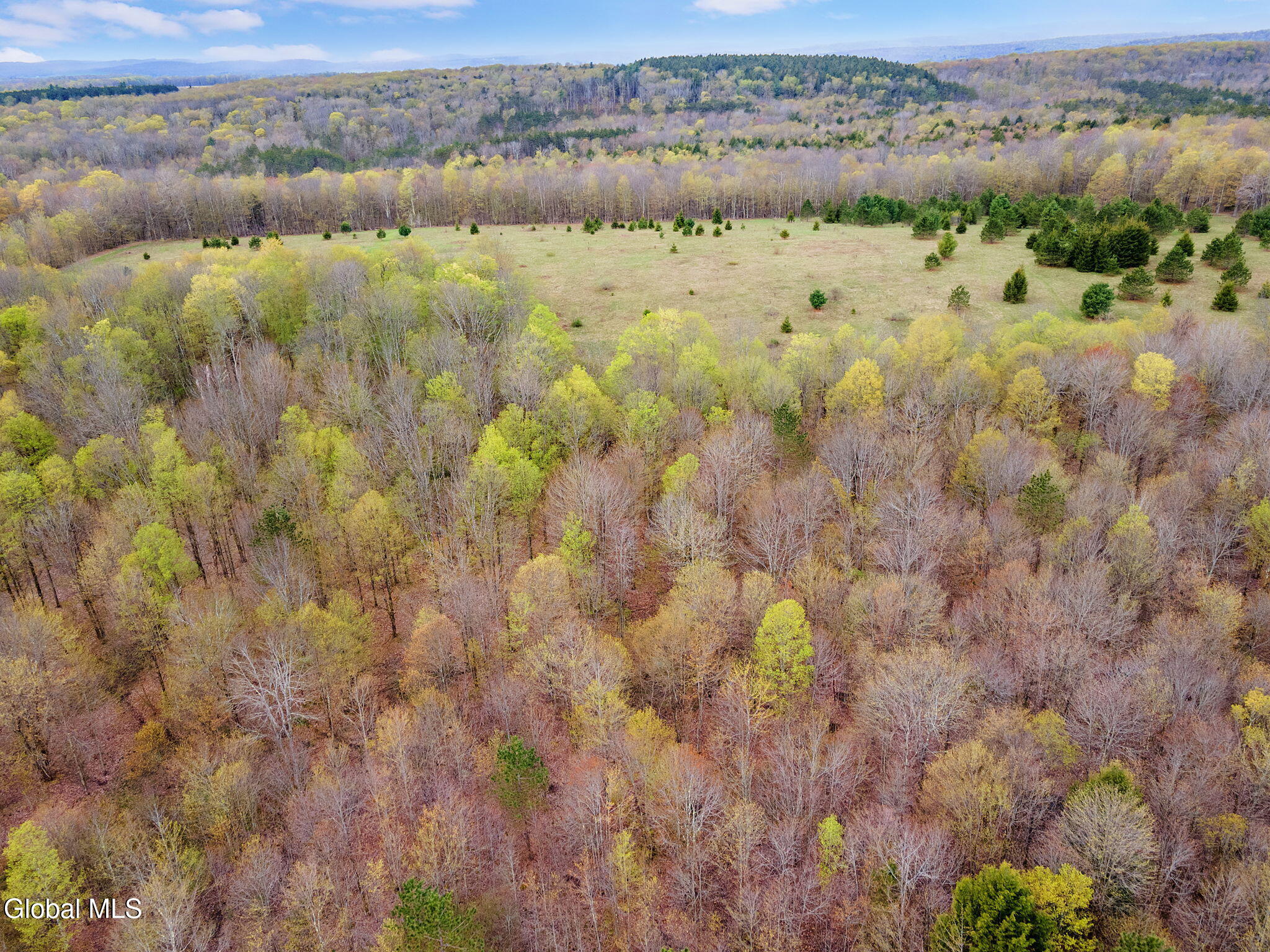 L20 Hakes Calhoun Road Pitcher, NY 13136 - Photo 16 of 20 16-KostenkoSuttonRd_16