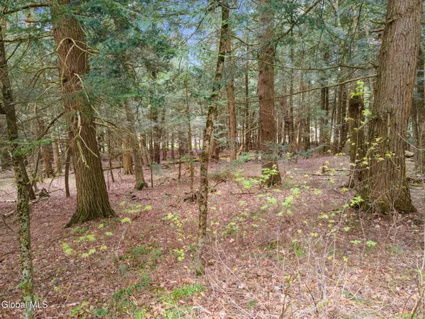 $40,000 | L20 Hakes Calhoun Road, Pitcher, NY 13136