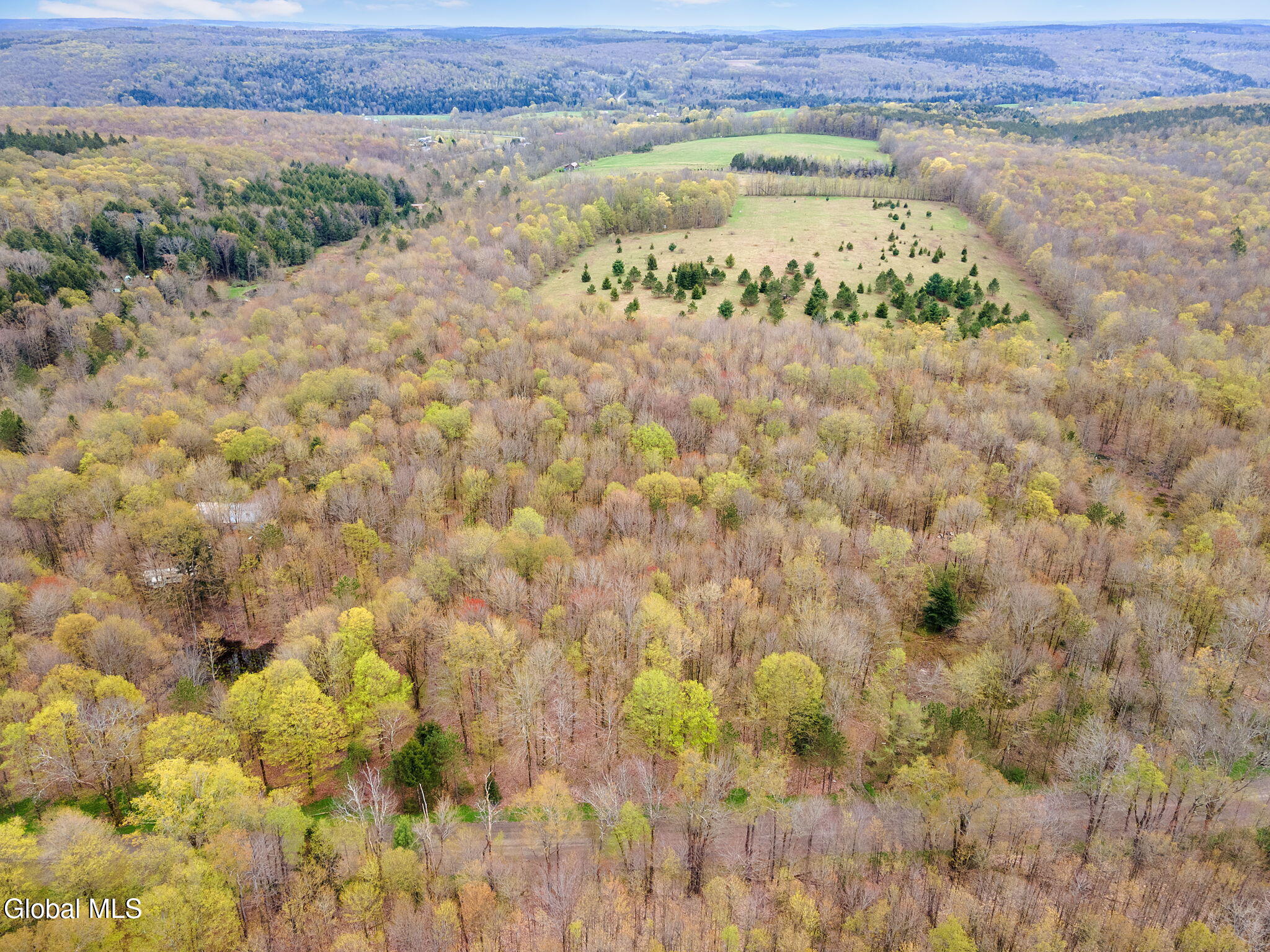 L20 Hakes Calhoun Road Pitcher, NY 13136 - Photo 3 of 20 2-KostenkoSuttonRd_02