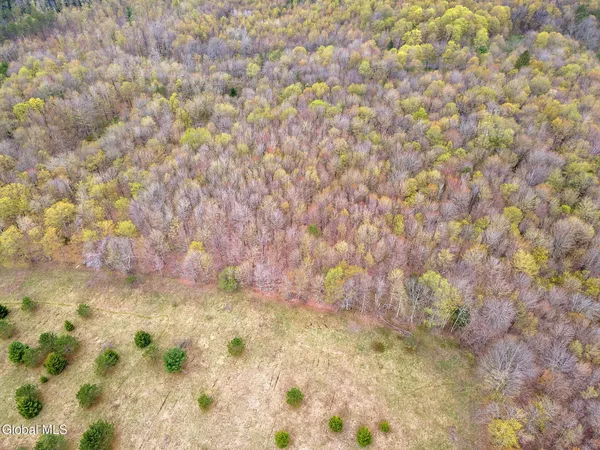 $40,000 | L20 Hakes Calhoun Road, Pitcher, NY 13136