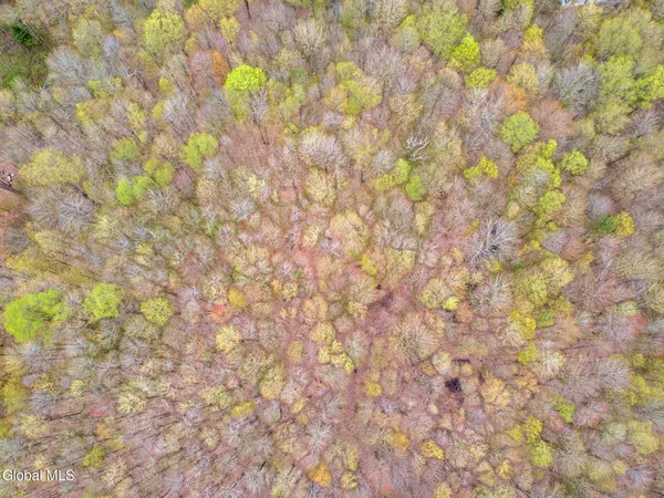 $40,000 | L20 Hakes Calhoun Road, Pitcher, NY 13136