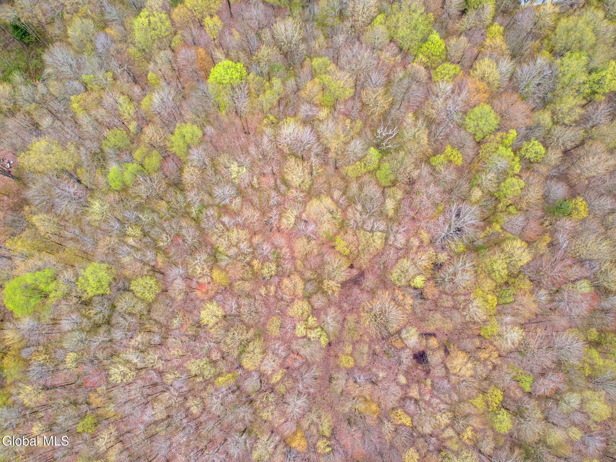 L20 Hakes Calhoun Road Pitcher, NY 13136 - Photo 6 of 20 5-KostenkoSuttonRd_05