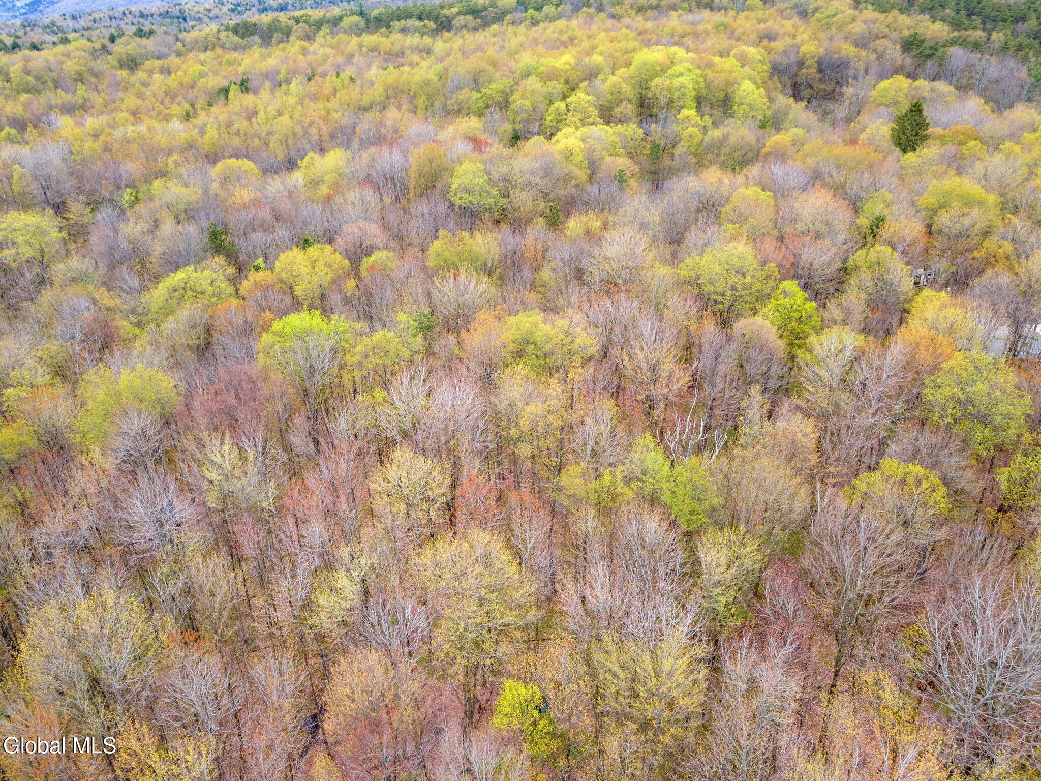 L20 Hakes Calhoun Road Pitcher, NY 13136 - Photo 7 of 20 6-KostenkoSuttonRd_06