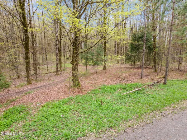 $40,000 | L20 Hakes Calhoun Road, Pitcher, NY 13136