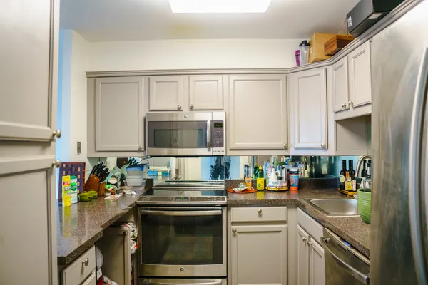$2,350 | 1560 North Sandburg Terrace, Unit 503J, Chicago, IL 60610