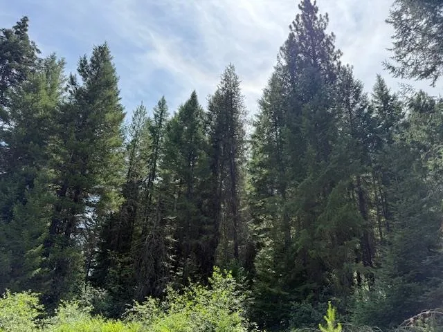 $100,000 | Xxxx Allen Road, Springdale, WA 99173