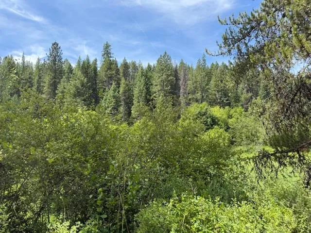 $100,000 | Xxxx Allen Road, Springdale, WA 99173