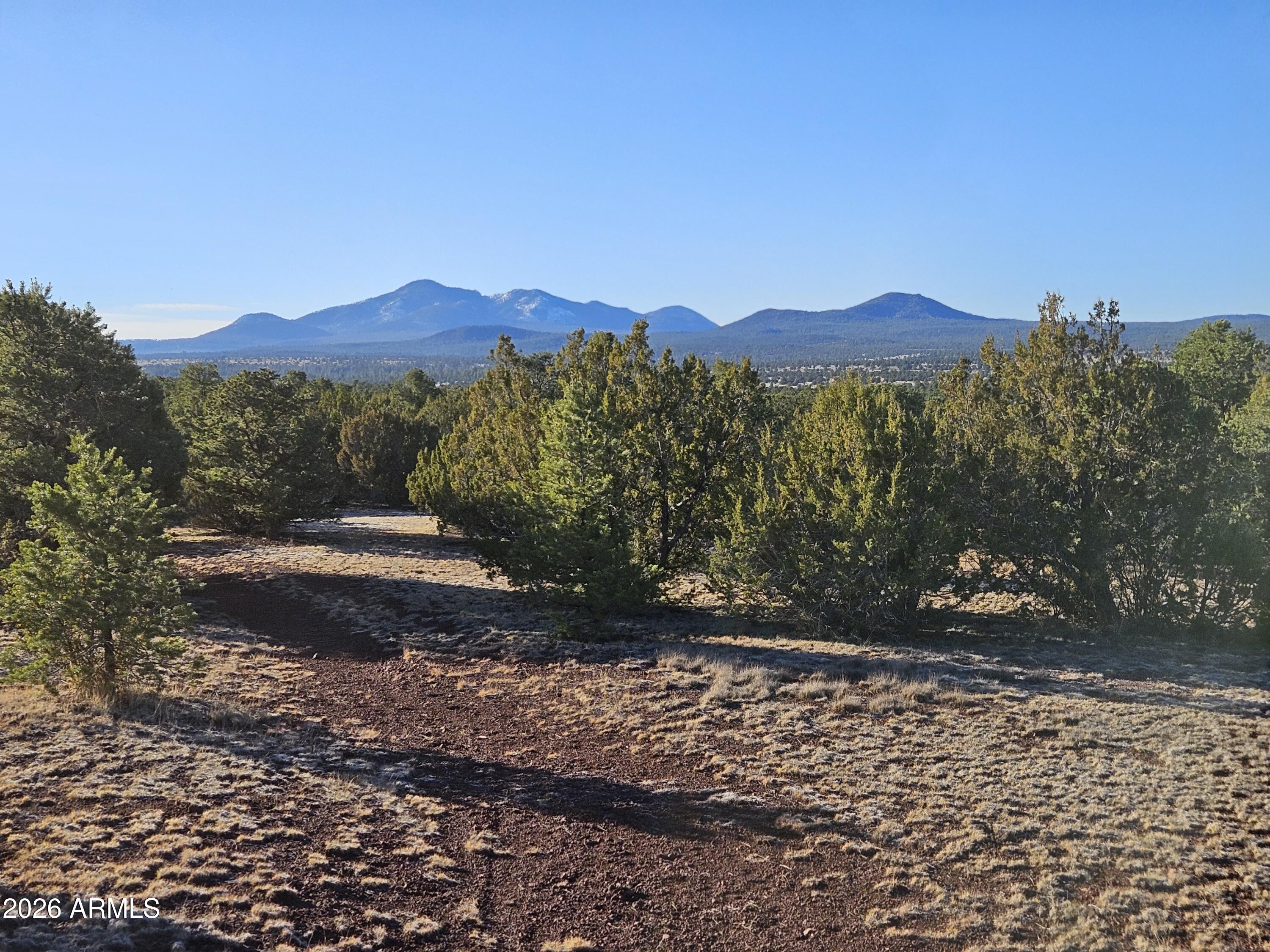 1760 West Honeysuckle Road, Unit 5 Williams, AZ 86046 - Photo 10 of 20
