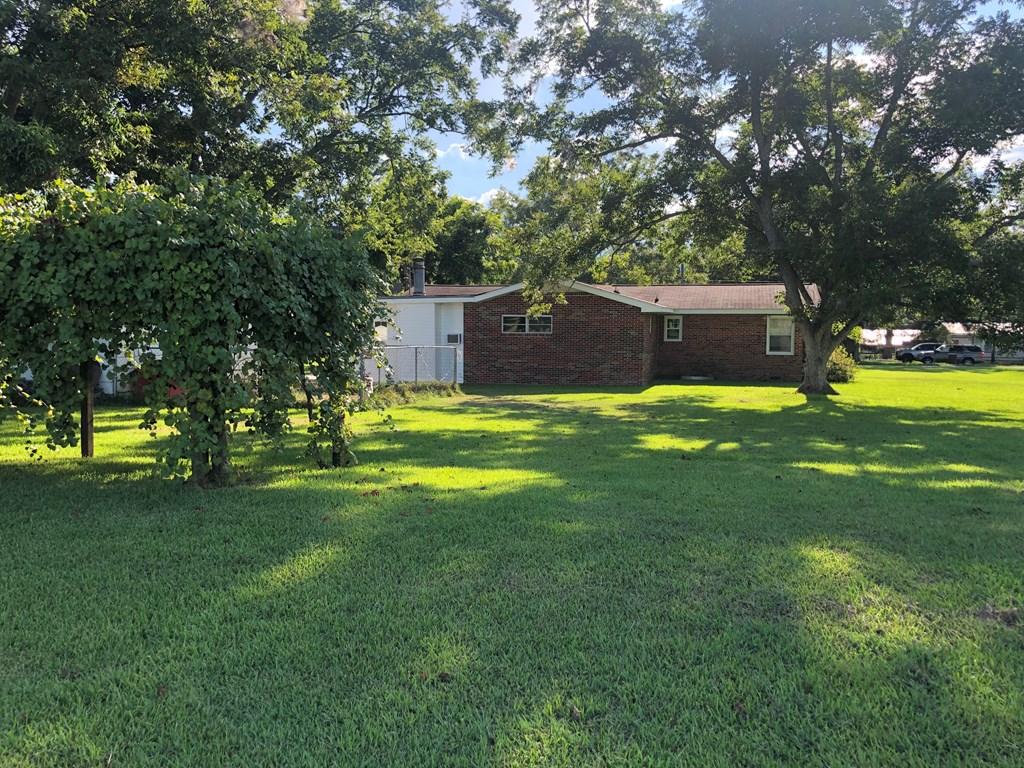 494 Lawrence Street Slocomb, AL 36375 - Photo 41 of 44