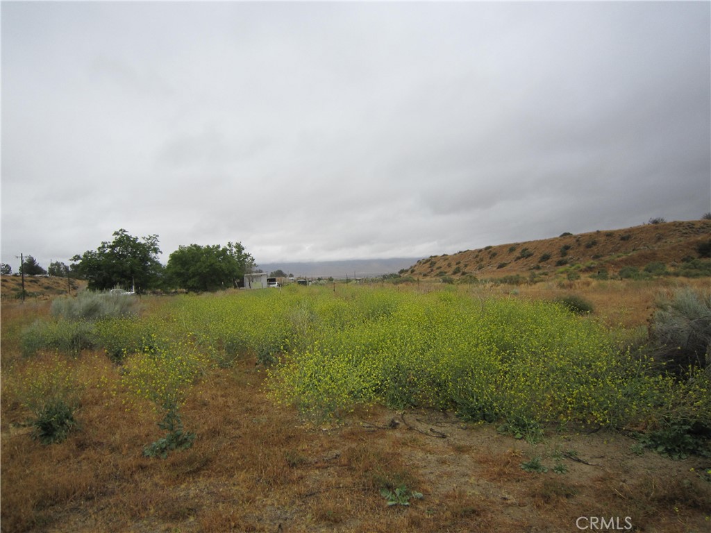 205 Castro Canyon Road Maricopa, CA 93252 - Photo 2 of 10 Up on the ridge