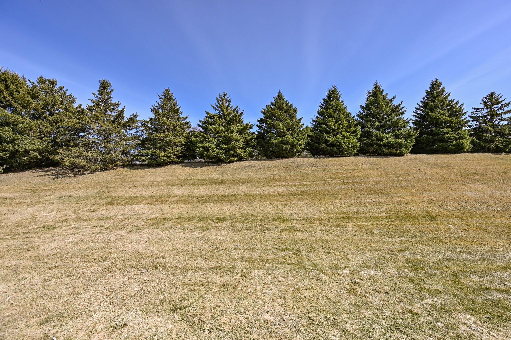 517 Buffalo Run Road Buffalo, MN 55313 - Photo 25 of 25