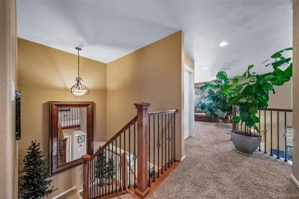 a view of a hallway to a house with potted plants