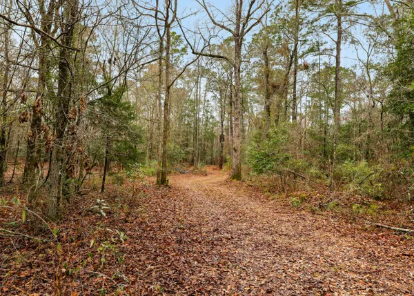 $450,000 | 0 Santee River Road, St. Stephen, SC 29479