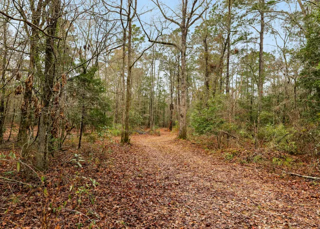 $450,000 | 0 Santee River Road, St. Stephen, SC 29479