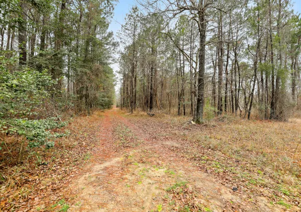 $450,000 | 0 Santee River Road, St. Stephen, SC 29479