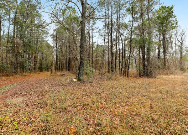 $450,000 | 0 Santee River Road, St. Stephen, SC 29479