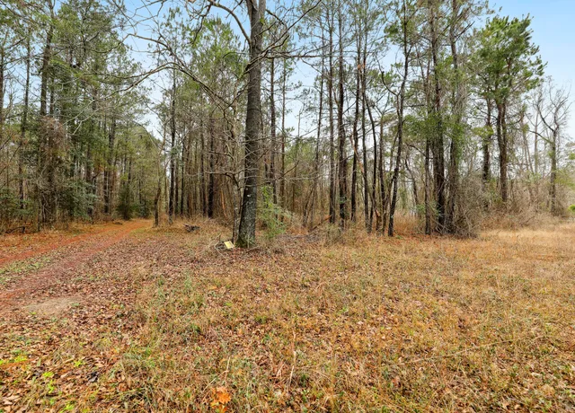 $450,000 | 0 Santee River Road, St. Stephen, SC 29479