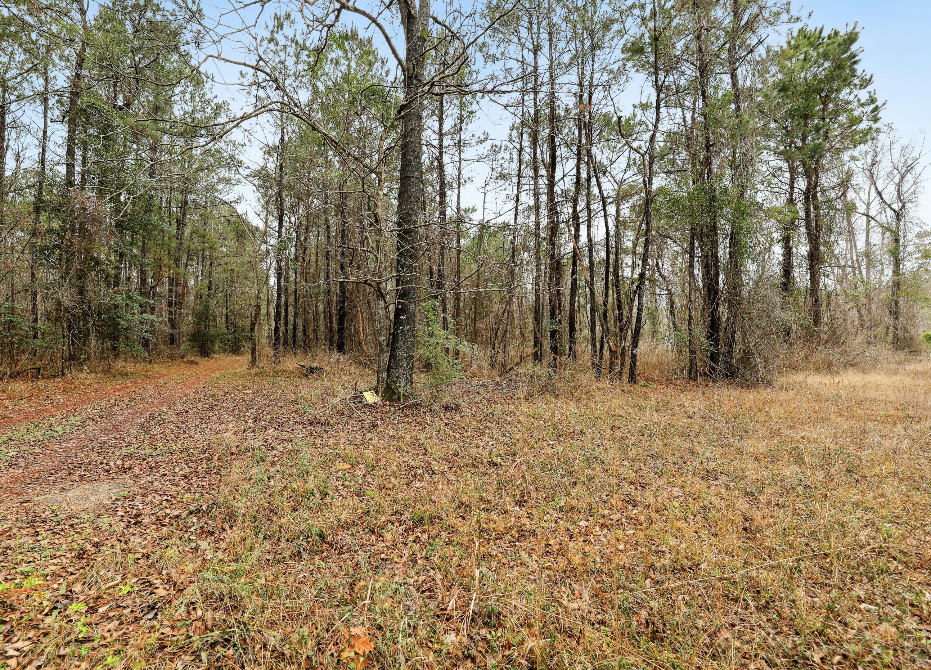 0 Santee River Road St. Stephen, SC 29479 - Photo 4 of 10 Frontage
