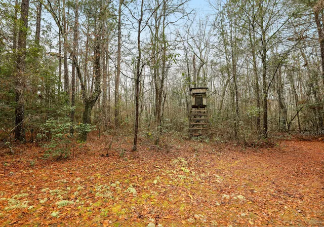 $450,000 | 0 Santee River Road, St. Stephen, SC 29479