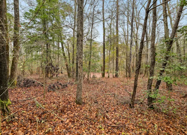 $450,000 | 0 Santee River Road, St. Stephen, SC 29479