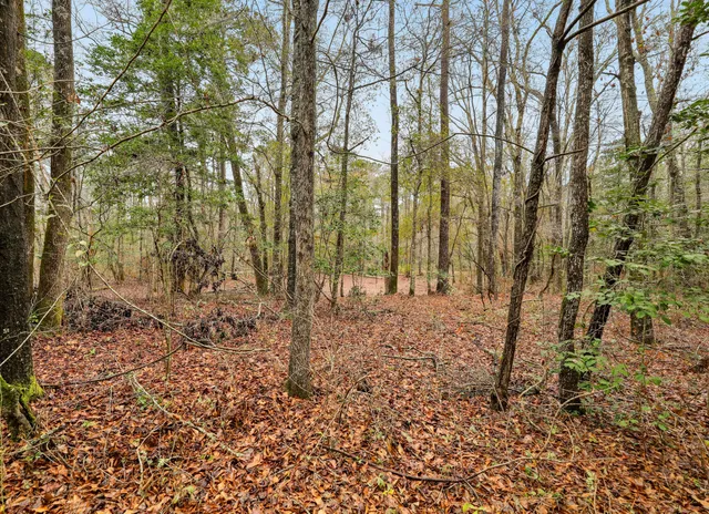 $450,000 | 0 Santee River Road, St. Stephen, SC 29479