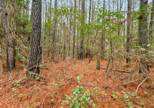 $450,000 | 0 Santee River Road, St. Stephen, SC 29479