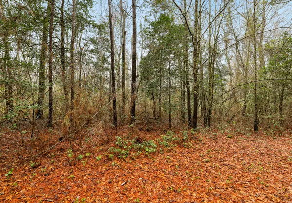 $450,000 | 0 Santee River Road, St. Stephen, SC 29479