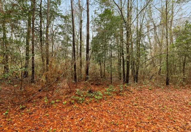 $450,000 | 0 Santee River Road, St. Stephen, SC 29479