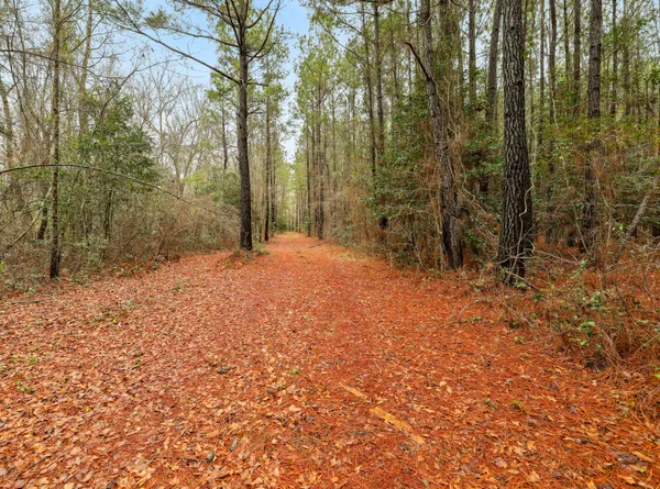 $450,000 | 0 Santee River Road, St. Stephen, SC 29479