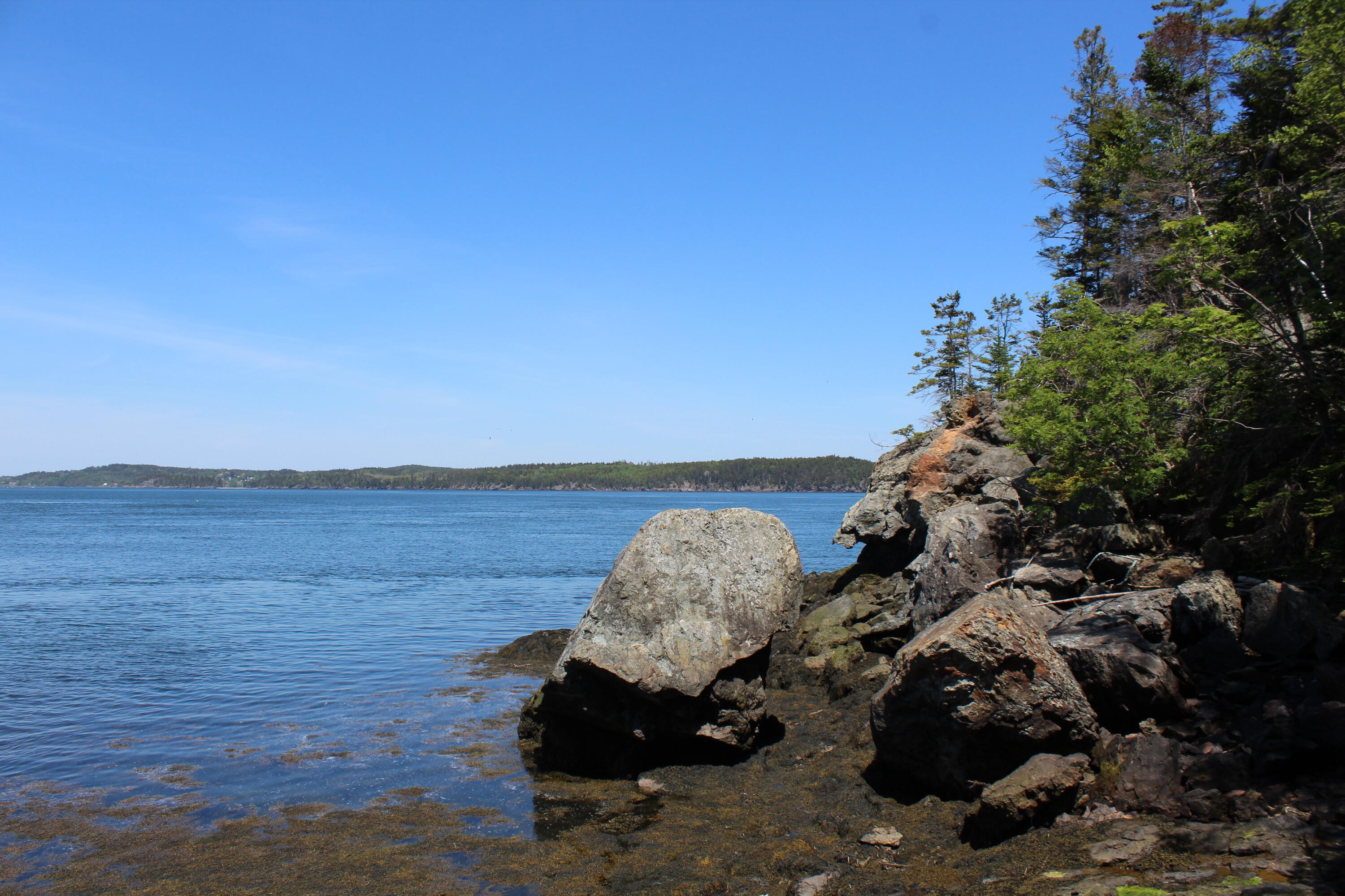45 Kendall Head Road Eastport, ME 04631 - Photo 78 of 117 IMG_7052