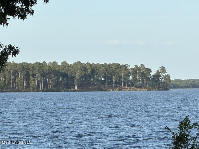 Lot 23 Neptune Shore Canton, MS 39046 - Photo 9 of 20 IMG_1926