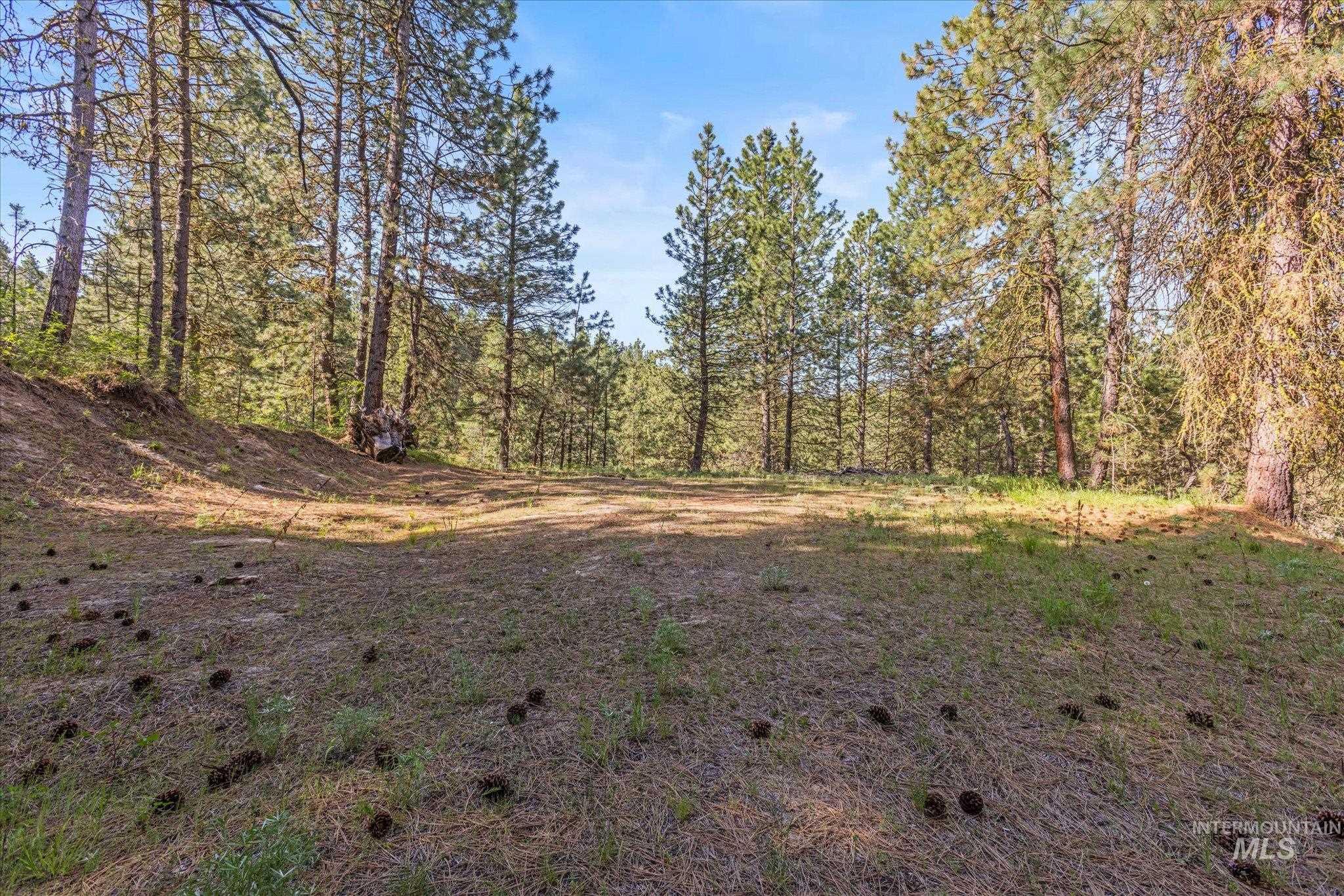 1 Sunset Trail Banks, ID 83602 - Photo 32 of 42 Wooded landscape featuring mature evergreen trees and a partially cleared, gently sloped ground area